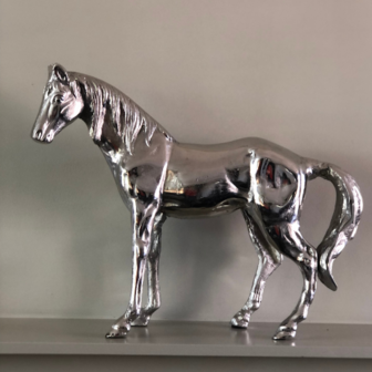 Horse Silver